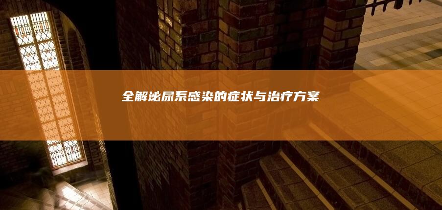 全解：泌尿系感染的症状与治疗方案